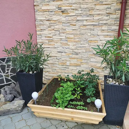 Bed & Breakfast Rudolf 2*